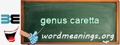 WordMeaning blackboard for genus caretta